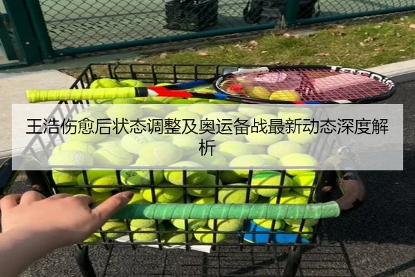 王浩伤愈后状态调整及奥运备战最新动态深度解析